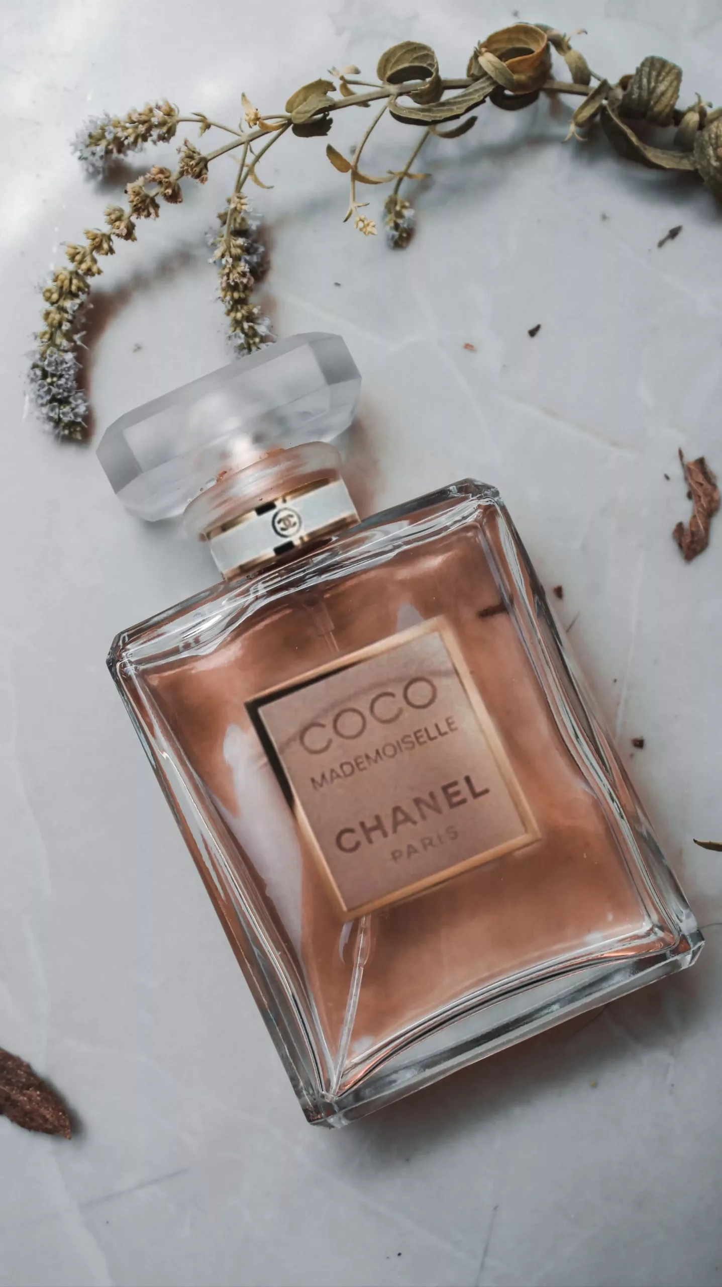 Tổng hợp hơn 85 coco chanel perfume classic tuyệt vời nhất  trieuson5