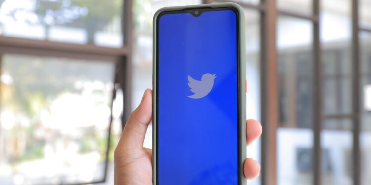 Twitter logo on mobile