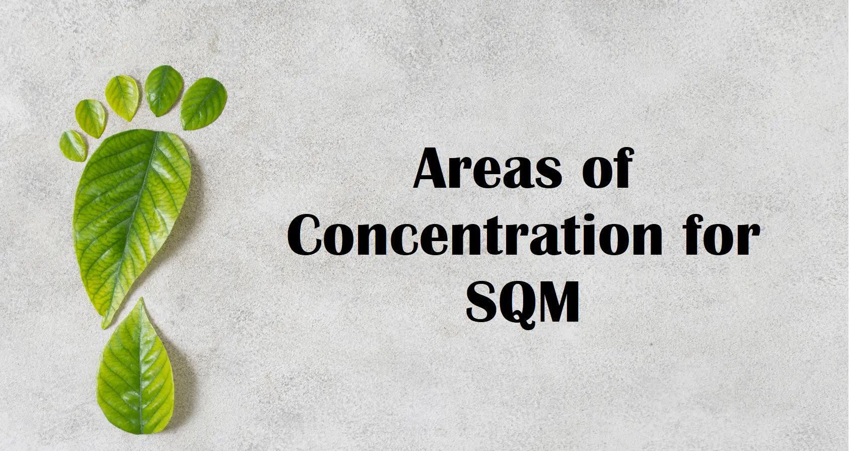 sqm areas of concentration