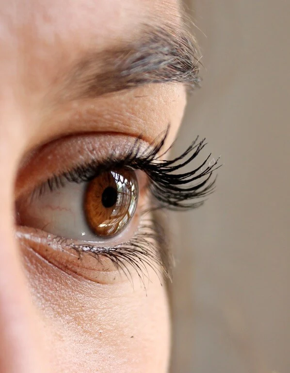 eyelashes of girl