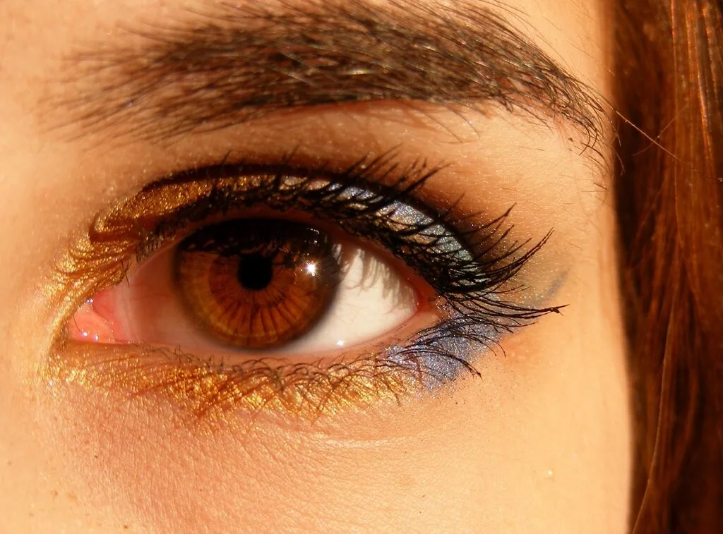 brown eyes of girl