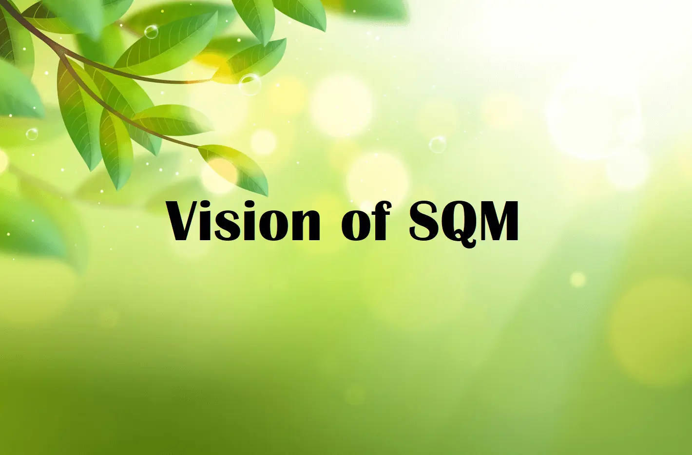 vision of sqm