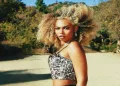 phoenix on beach