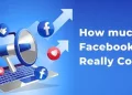 How much do fakebook ads really cost?
