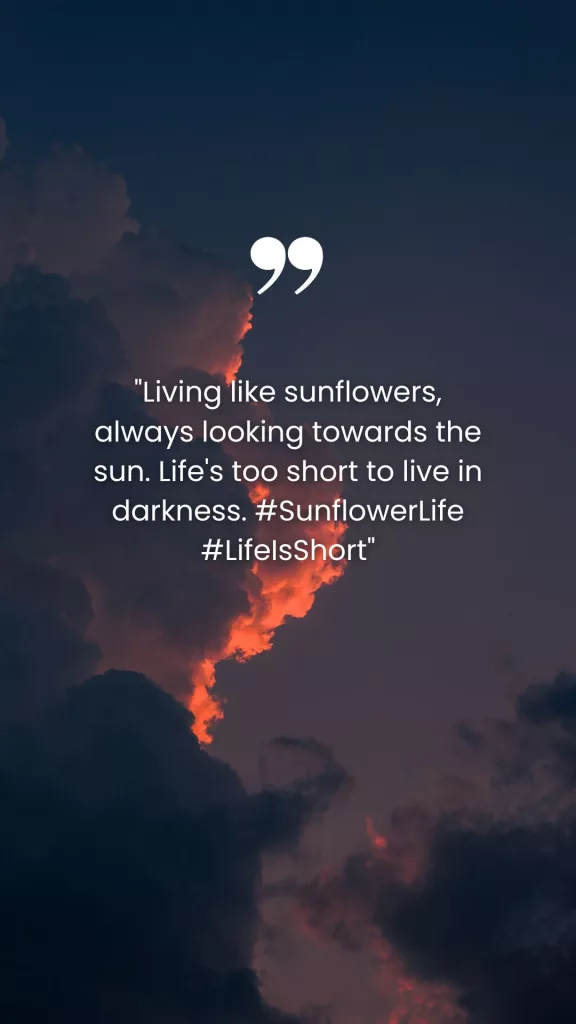 quotes on sunflowers