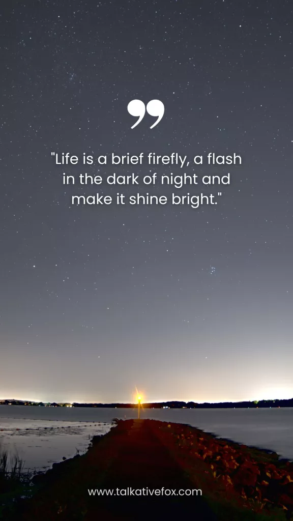 Life is a brief firefly, a flash in the dark of night and make it shine bright.