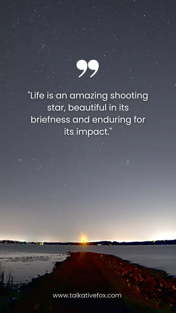 Life is an amazing shooting star, beautiful in its briefness and enduring for its impact.