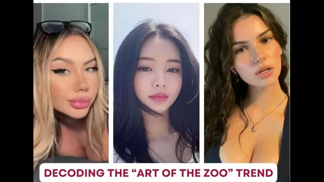 art of the zoo trend decoded