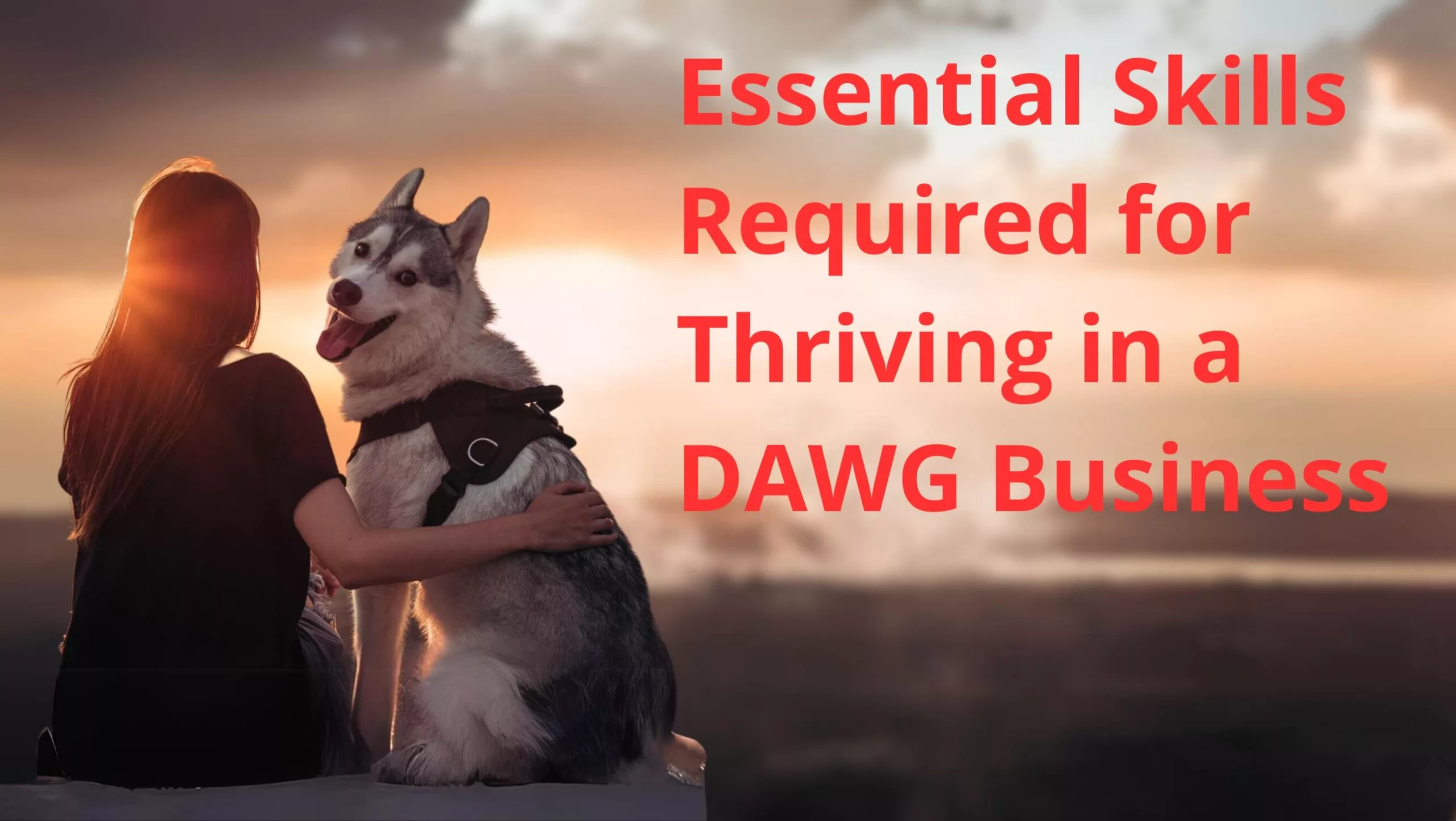 Essential Skills Required for Thriving in a DAWG Business