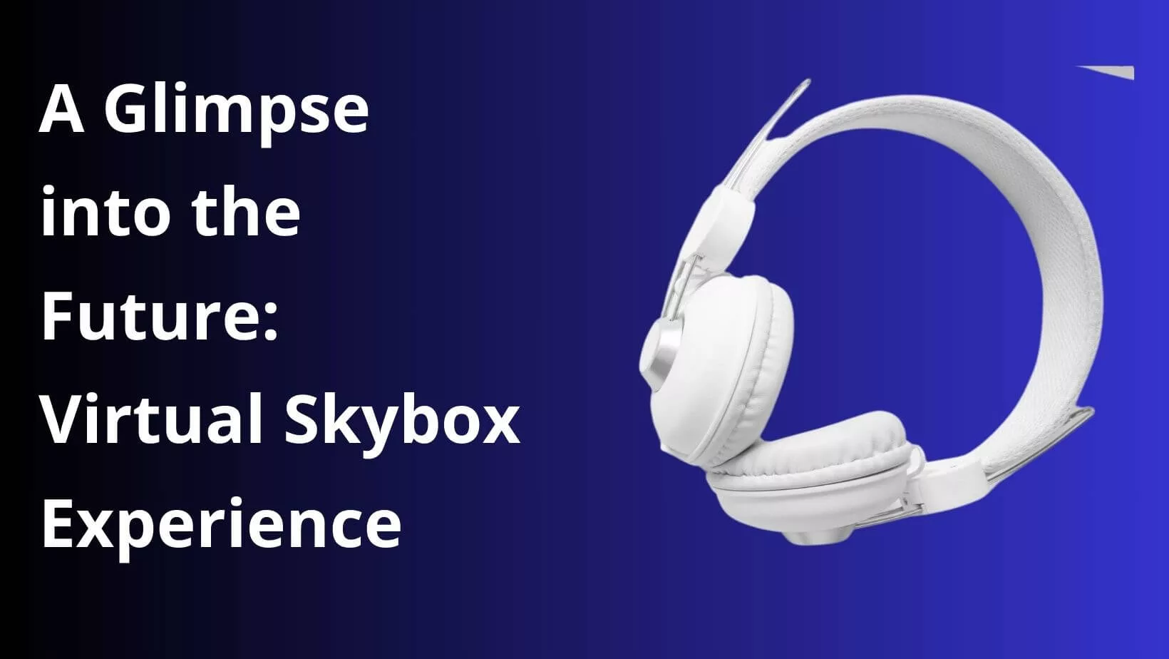 A Glimpse into the Future: Virtual Skybox Experience