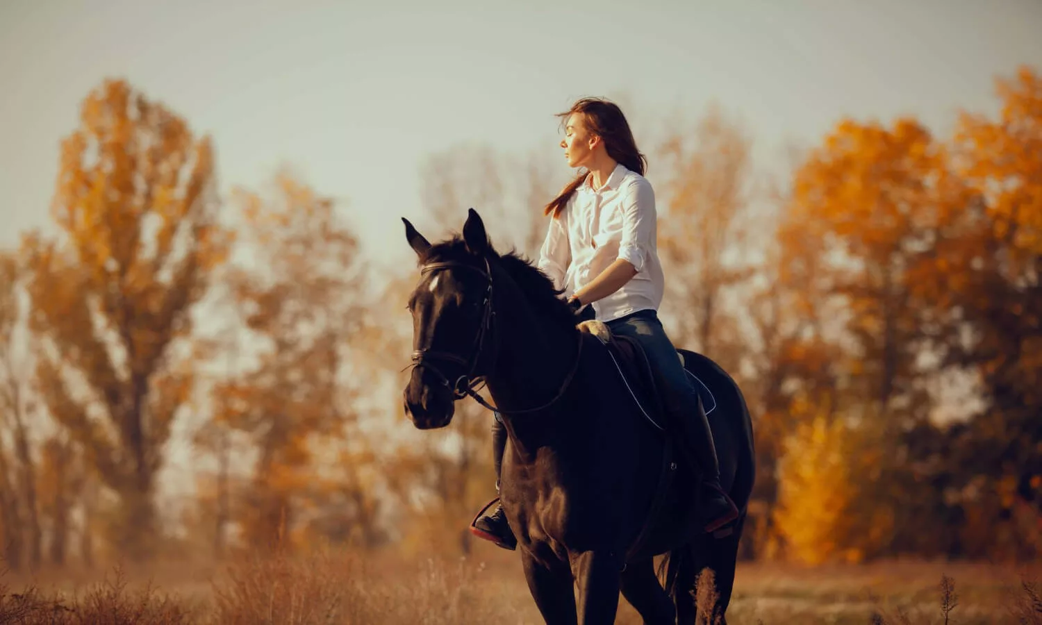 horse riding vacation benefits
