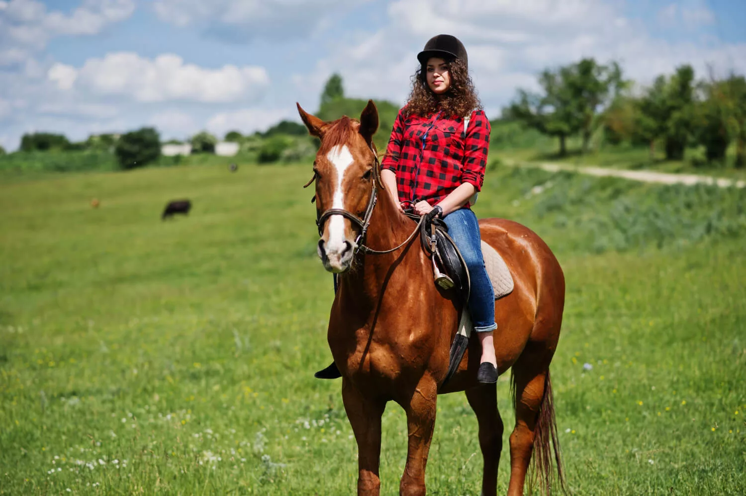 young-pretty-girl-riding-horse-field-sunny-day