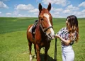 young-pretty-girl-stay-with-horse-field-sunny-day