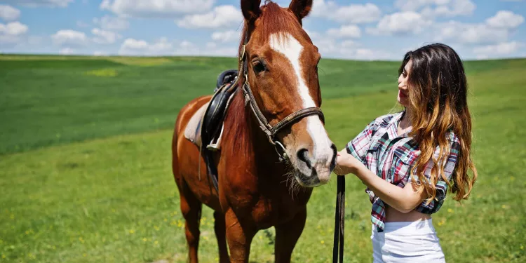 young-pretty-girl-stay-with-horse-field-sunny-day