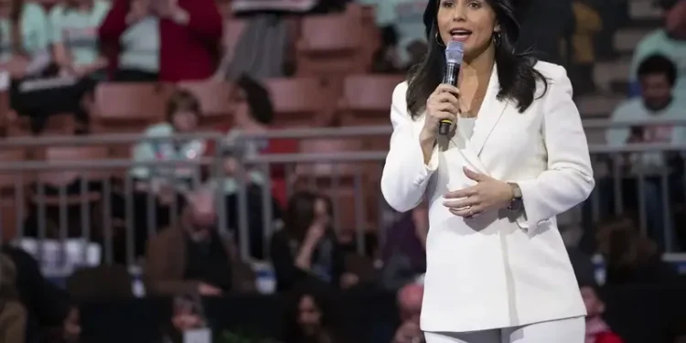 tulsi gabbard net worth