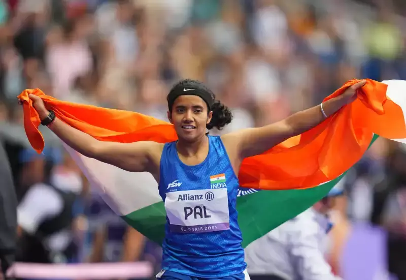 Shifts in Sponsorship Diversity in Paralympics