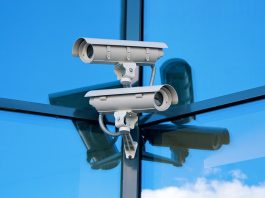 The Ultimate Guide to Digitallrgs.org: Everything You Need to Know