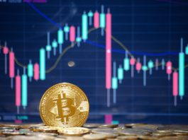 https://blog.pcscomputo.com/bitcoin-impact-global-economy-inflation-hedge-blockchain-regulation